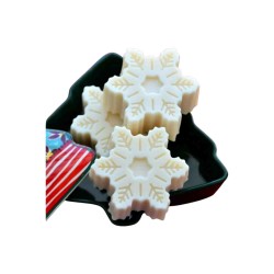 Silikon Kar Tanesi Kalıbı S12.5 Silikon Kar Tanesi Kalıbı S12.5