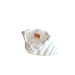 Silikon Mumluk Sunumluk Deniz kabuğu silikon kalıbı Silikon Mumluk Sunumluk Deniz kabuğu silikon kalıbı