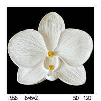 Silikon Orkide Kalıbı Küçük Boy S56 Silikon Orkide Kalıbı Küçük Boy S56