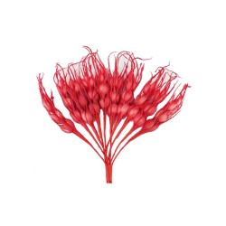 Çiçek Başak Modeli (100 Adet) Çiçek Başak Modeli (100 Adet)