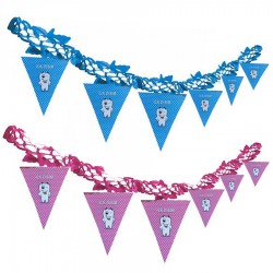 Süs Uzar İlk Dişim ve  Flamalı Set  (Diş Buğdayı)