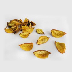 Kurutulmuş Kokulu Natural Gül Yaprağı Kurutulmuş Kokulu Natural Gül Yaprağı