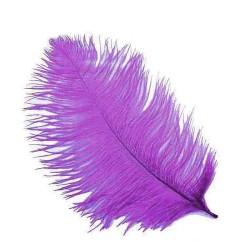 Tüy Organizasyon İçin 65 CM X 70 CM