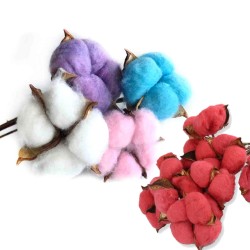 Kuru Çiçek Doğal Kurutulmuş Pamuk Kozası (10 Adet)