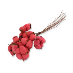 Kuru Çiçek Doğal Kurutulmuş Pamuk Kozası (10 Adet) Kuru Çiçek Doğal Kurutulmuş Pamuk Kozası (10 Adet)