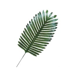 Yapay Yaprak Palmiye Modeli 35 CM X 20 CM (5 Adet) Yapay Yaprak Palmiye Modeli 35 CM X 20 CM (5 Adet)