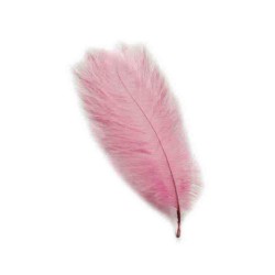 Tüy Organizasyon İçin 40 CM X 50 CM