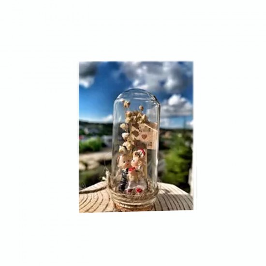 Cam Şişe Mantar Tıpalı Deney Tüpü Mini Fanus Model 25CC (25 Adet) Cam Şişe Mantar Tıpalı Deney Tüpü Mini Fanus Model 25CC (25 Adet)