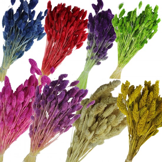 Kuru Çiçek Kuş Otu Şoklanmış Kurutulmuş 40 CM Kuru Çiçek Kuş Otu Şoklanmış Kurutulmuş 40 CM