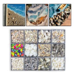 12 Farklı Minik Dekoratif Doğal Deniz Kabuğu Seti