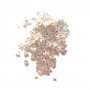 Epoksi Reçine Dolgusu Karışık Glitter Doldu Malzemesi Figür 100 GR Epoksi Reçine Dolgusu Karışık Glitter Doldu Malzemesi Figür 100 GR