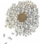 Nassa Shell Yerli Boyanmiş Kiloluk Deniz Kabuğu (1 KG Nassa Shell Yerli Boyanmiş Kiloluk Deniz Kabuğu (1 KG