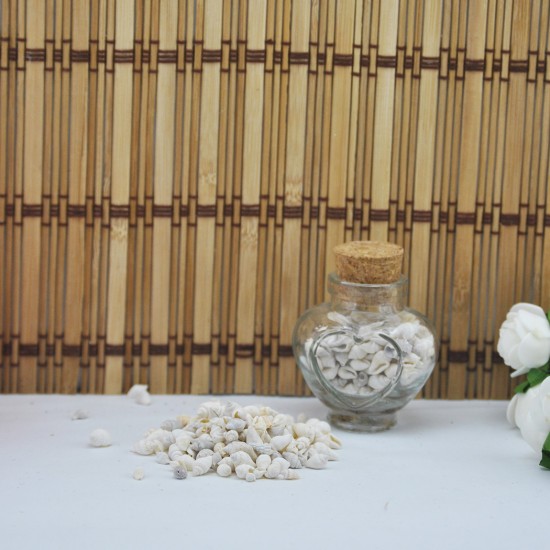 Nassa Shell Yerli Boyanmiş Kiloluk Deniz Kabuğu (1 KG Nassa Shell Yerli Boyanmiş Kiloluk Deniz Kabuğu (1 KG