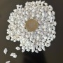 Nassa Shell Yerli Boyanmiş Kiloluk Deniz Kabuğu (1 KG Nassa Shell Yerli Boyanmiş Kiloluk Deniz Kabuğu (1 KG