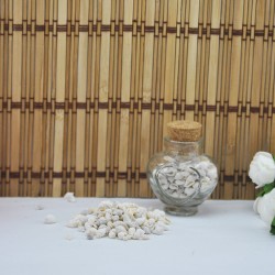 Nassa Shell Yerli Boyanmiş Kiloluk Deniz Kabuğu (250 )grm Nassa Shell Yerli Boyanmiş Kiloluk Deniz Kabuğu (250 )grm