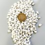 Nassa Shell Yerli Boyanmiş Kiloluk Deniz Kabuğu (250 )grm Nassa Shell Yerli Boyanmiş Kiloluk Deniz Kabuğu (250 )grm