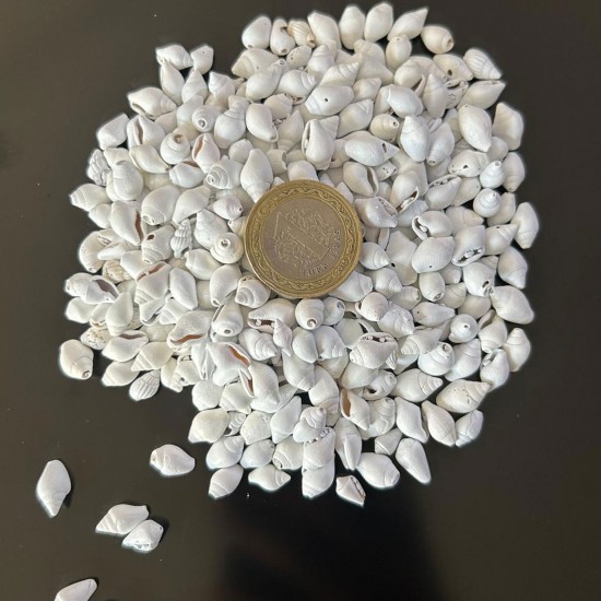 Nassa Shell Yerli Boyanmiş Kiloluk Deniz Kabuğu (250 )grm Nassa Shell Yerli Boyanmiş Kiloluk Deniz Kabuğu (250 )grm