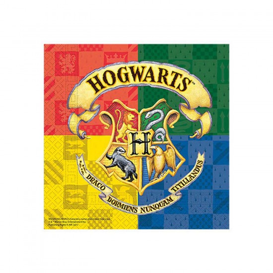 Harry Potter Hogwarts Temalı  Peçete (20 Adet)