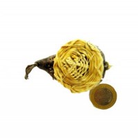 Balon Balık-Büyük Balon Balık-Büyük