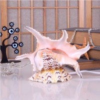 Chiragra Lamba Chiragra Lamba