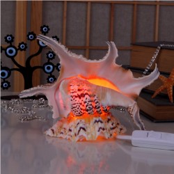 Chiragra Lamba Chiragra Lamba