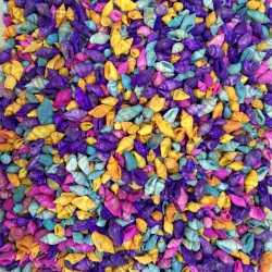 Nassa Shell-Karışık Renkli Kiloluk Deniz Kabuğu (1 KG)