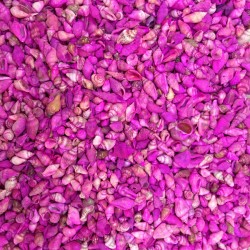 Nassa Shell-Pembe Kiloluk Deniz Kabuğu (1 KG)