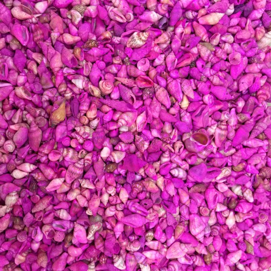 Nassa Shell-Pembe Kiloluk Deniz Kabuğu (1 KG)