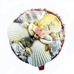 Orta Yuvarlak Kutu Orta Yuvarlak Kutu