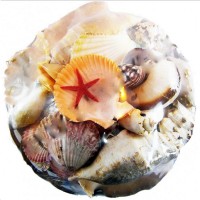 Sepet İçi Kavuk 25 CM Sepet İçi Kavuk 25 CM