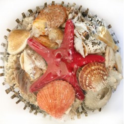 Sepet Kabuk 14 CM Ağaç Dalı ( Yuvarlak ) Sepet Kabuk 14 CM Ağaç Dalı ( Yuvarlak )