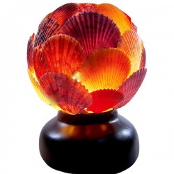 Top Lamba-Pecten Novalis