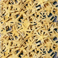 Naturel Deniz Yıldızı Minik Boy 1.5 Cm -3 Cm (100 Adet) Naturel Deniz Yıldızı Minik Boy 1.5 Cm -3 Cm (100 Adet)