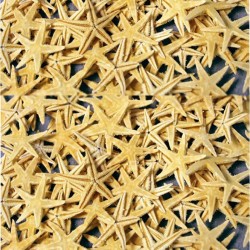 Naturel Deniz Yıldızı Minik Boy  1.5 Cm -3 Cm (100 Adet) Naturel Deniz Yıldızı Minik Boy  1.5 Cm -3 Cm (100 Adet)