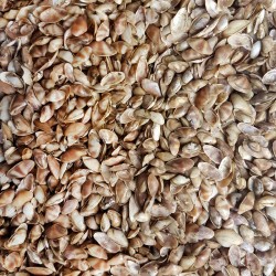 Cay-Cay Mini (Brown) Kiloluk Deniz Kabuğu (1 KG) Cay-Cay Mini (Brown) Kiloluk Deniz Kabuğu (1 KG)