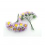 Çiçek Papatya Modeli Renkli (100 Adet)