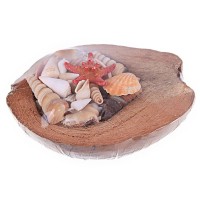 Coco Kabuk Sepeti 18-20 cm Arası Coco Kabuk Sepeti 18-20 cm Arası