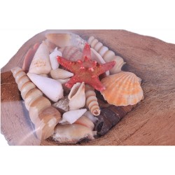 Coco Kabuk Sepeti 18-20 cm Arası Coco Kabuk Sepeti 18-20 cm Arası