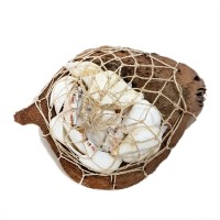 Coco Sepet Kabuk Beyaz Kabuk Yıldızlı Coco Sepet Kabuk Beyaz Kabuk Yıldızlı