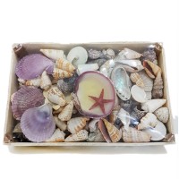 Deniz Ürünleri Temalı Kasa Sepet Kabuk Deniz Ürünleri Temalı Kasa Sepet Kabuk