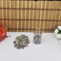 Umbinium Kiloluk Deniz Kabuğu (1 KG) Umbinium Kiloluk Deniz Kabuğu (1 KG)