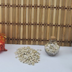 Umbinium Beyaz Kiloluk Deniz Kabuğu (1 KG) Umbinium Beyaz Kiloluk Deniz Kabuğu (1 KG)