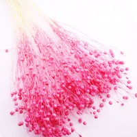 Kuru Çiçek Doğal Kurutulmuş Keten Otu Çiçeği 35 GR (1 Demet) Kuru Çiçek Doğal Kurutulmuş Keten Otu Çiçeği 35 GR (1 Demet)