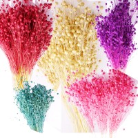 Kuru Çiçek Doğal Kurutulmuş Keten  Otu Çiçeği 35 GR (1 Demet)