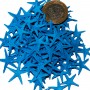 Polyester Deniz Yıldızı Minik Boy 0.5 CM- 1.5 CM (100 Adet) Polyester Deniz Yıldızı Minik Boy 0.5 CM- 1.5 CM (100 Adet)