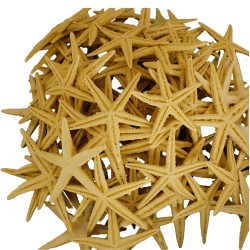 Polyester Deniz Yıldızı Natural Renk  6 Cm - 9 Cm (100 Adet)