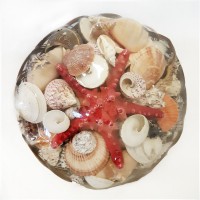 Sepet İçi Kabuk -12 Sepet İçi Kabuk -12