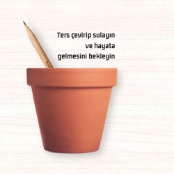 Tohumlu Yaşayan Kalem Yeşeren Kalem Tohumlu 12 Li Tohumlu Yaşayan Kalem Yeşeren Kalem Tohumlu 12 Li