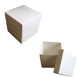 Komple Karton Kutu 12X12x12 (10 Adet )