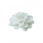 Mum Nilifer Çiçeği Modeli Asetat Kutuda  (10 Adet)